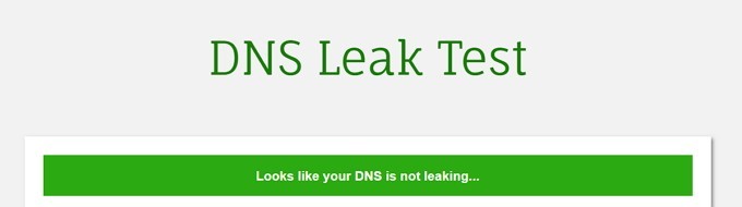 DNS Sızıntısı Testi