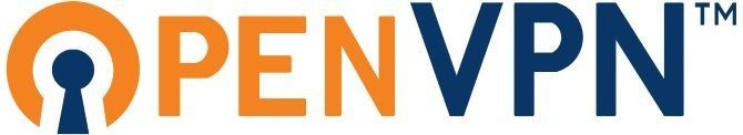 1. OpenVPN