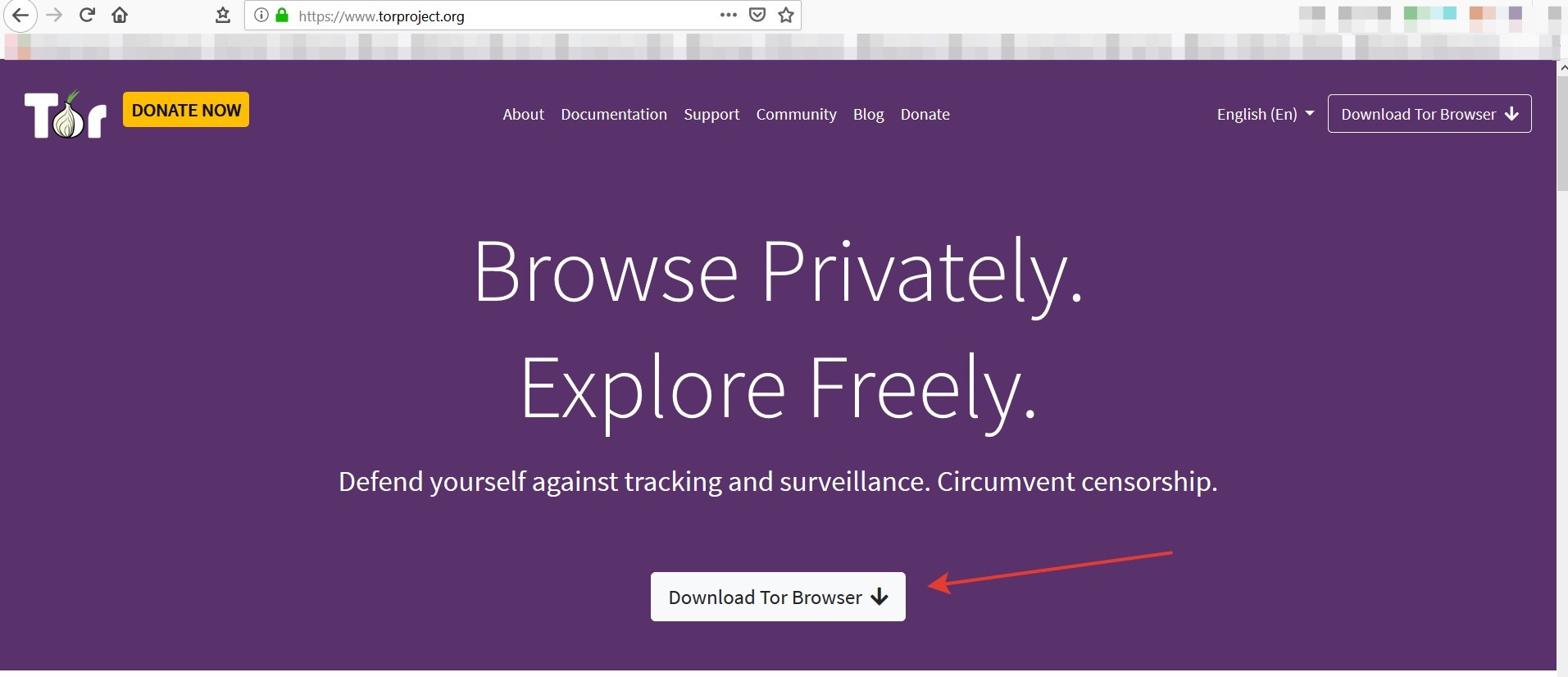 Tor ve Tor Browser