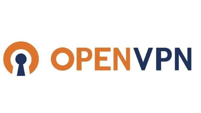1. OpenVPN