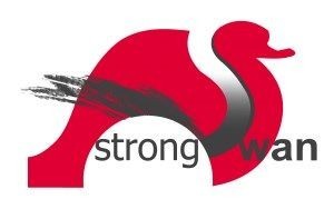 5. StrongSwan