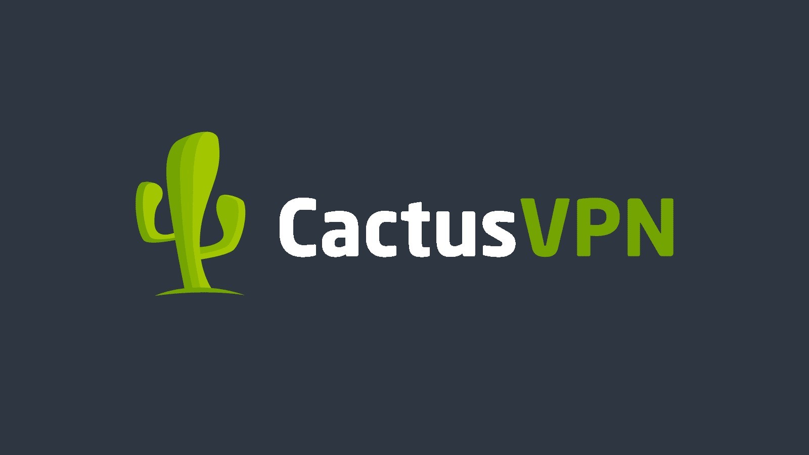 CactusVPN İncelemesi